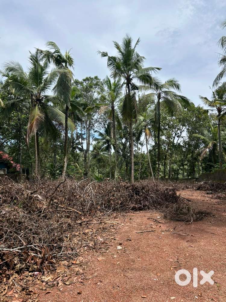 20 cents in Chamavila rd , Pulayarakonam