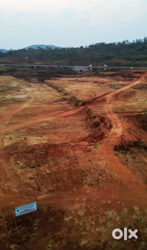 golden opportunity for investment