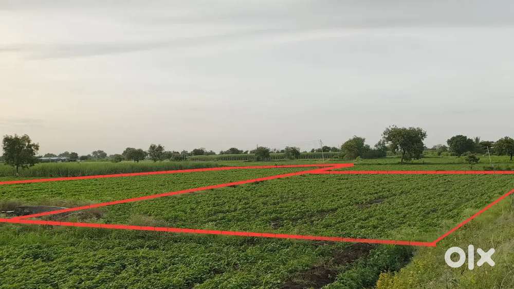 Farming Land