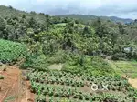 Escape to Nature – 30 Cents Farm Property @ ₹65,000 /Cent