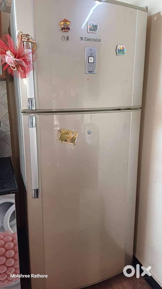 Electrolux fridge