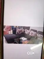 Sofa set with cushion
