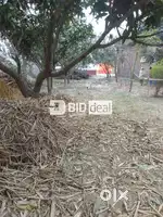 Residential Open Plot(Nautan Dubey)