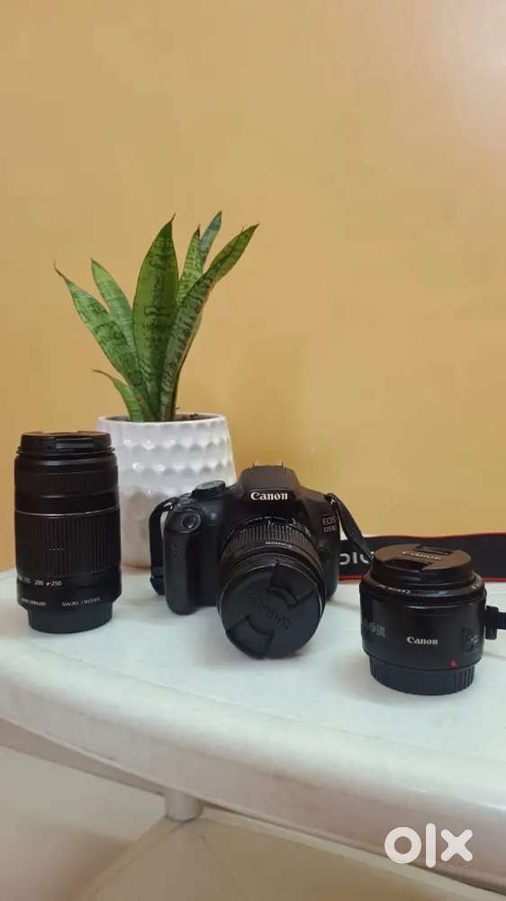 Canon camera 1200D with three lens