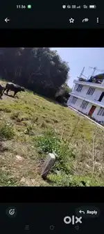 Umshing Umjapung jaka ban die