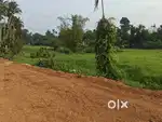 Silver spring Villas- Kuruppampady Town House Plot.
