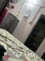Need a room mate