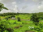 चिपळूण जवळ 4 लाख रुपये एकरी प्रमाणे.
