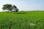 1Acer 18 GUNTAS Agriculture Land, With BORE .Just 15mnts way From NH44