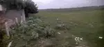 AGRICULTURE LAND for sale