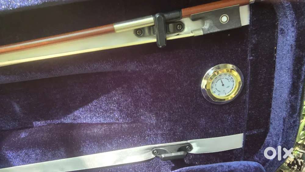 Havana violin for sale