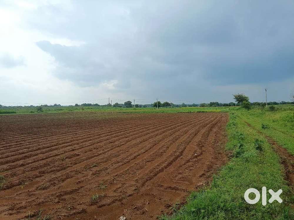 Agriculture land