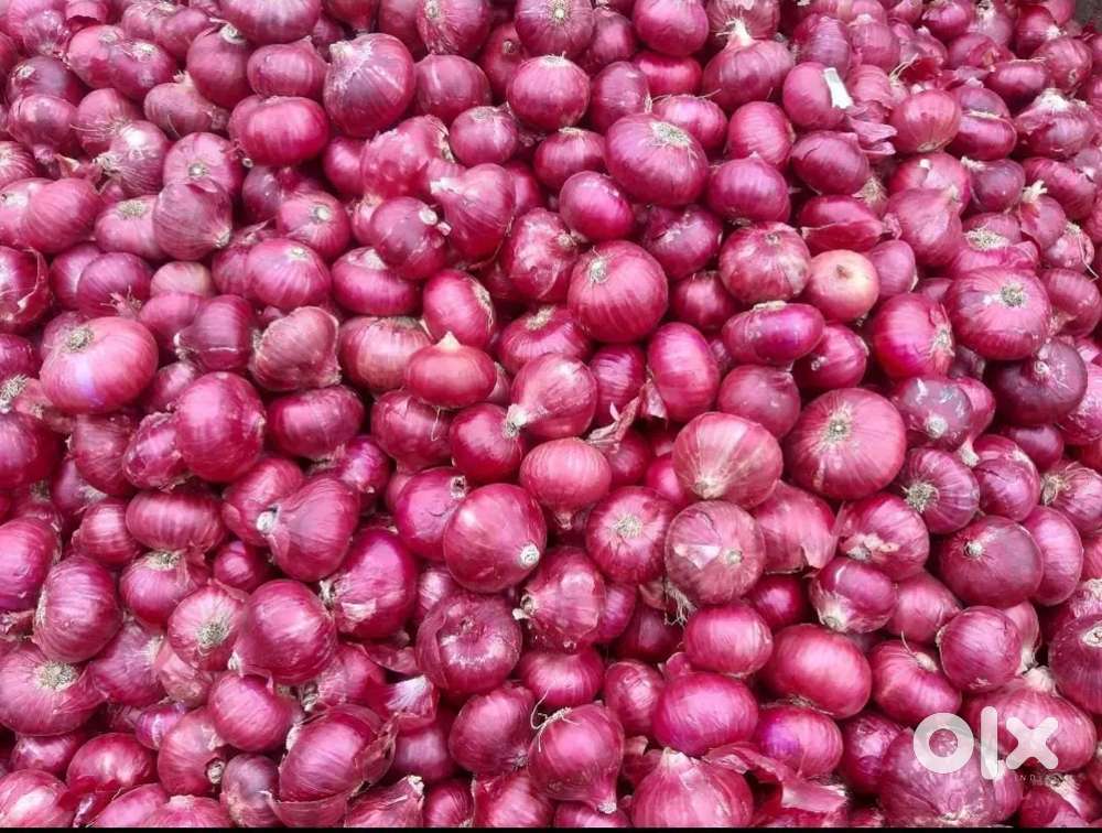 Onion Retail Seller Job