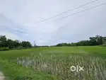 6 bigha (86400sq ft) myadi plot