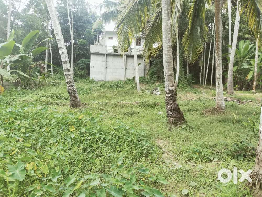 5 cent solid land housing plot. 6.7 rs per cent