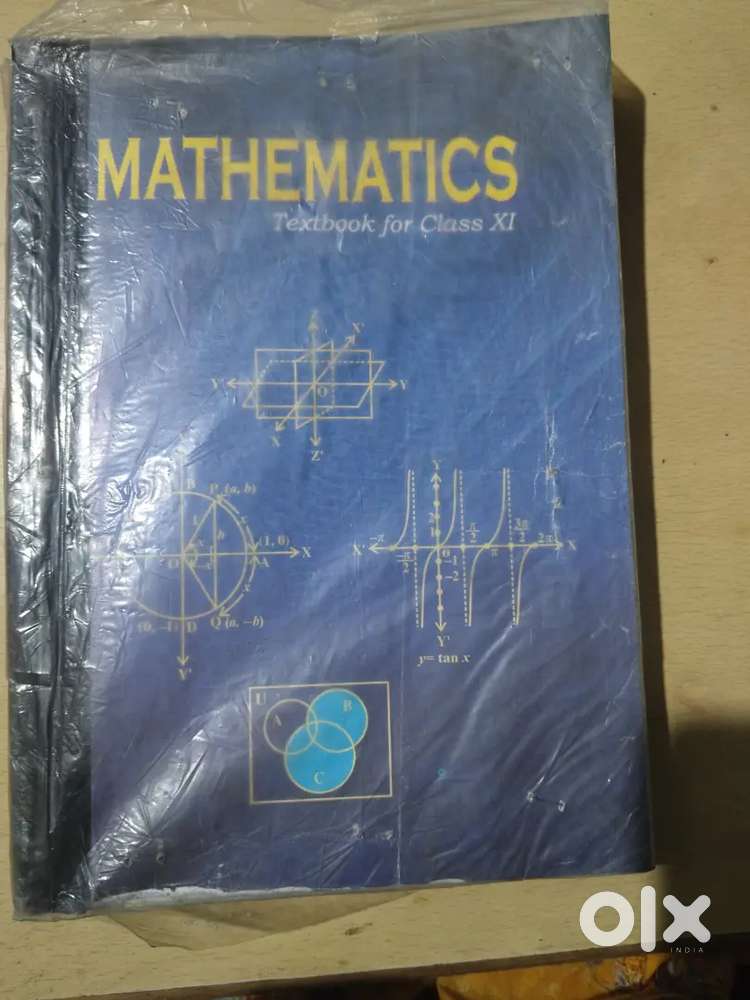 Mathematics textbook for class 11
