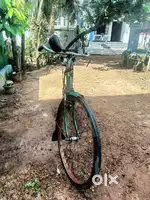 Hercules cycle