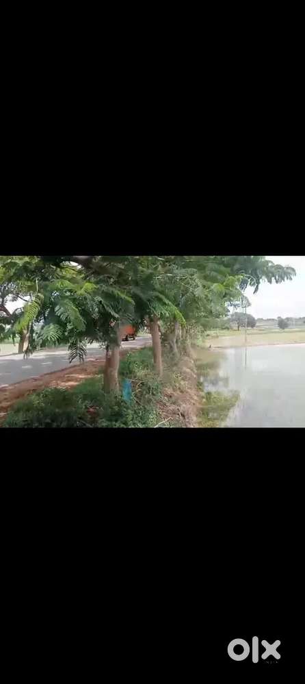 Gajwel land for sale