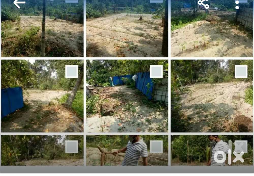 Square plot for house construction