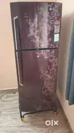 LG double door