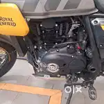 Royal Enfield SCRAM