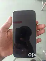 Good bettey