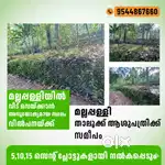 Plots for house construction in Mallappally
