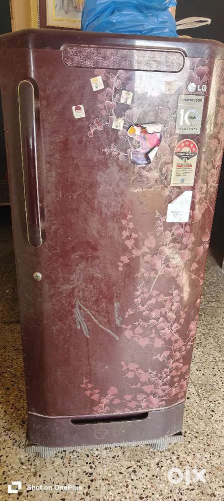 Refrigerator fridge single door