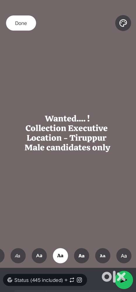 Collection Executive