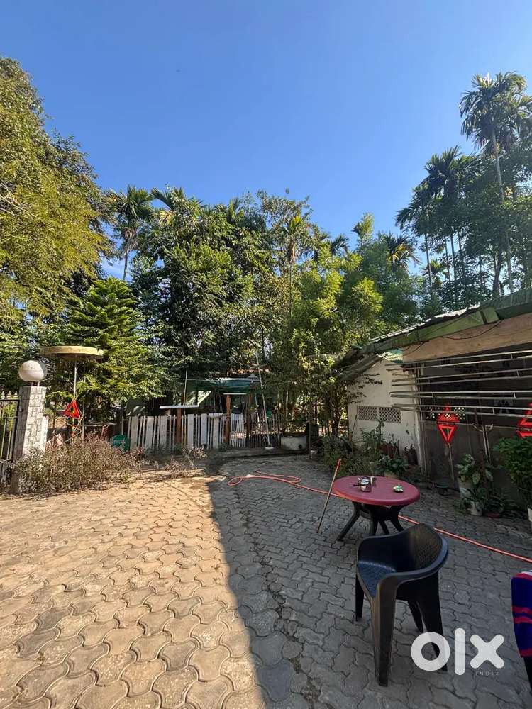 Independent Style PG near RRL Badminton Court, TT & Free wifi