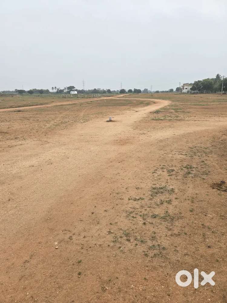 Budget friendly plots