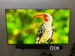 OLED ULTRA HD 4k LG C2 with additional 2 year functional warranty
