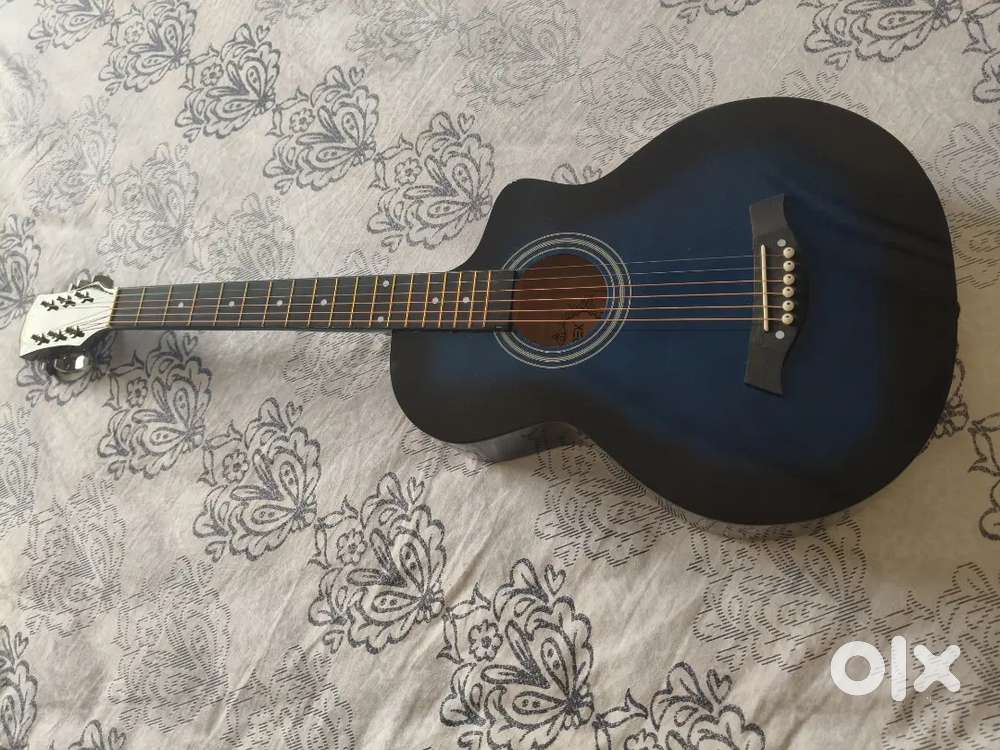 Guitars with cover