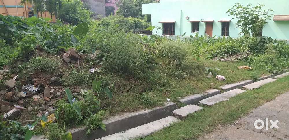 MILAN PALLY TREE MURTY MANDIR SAMNE 3.5 KATA JOMI BIKRI ACHE