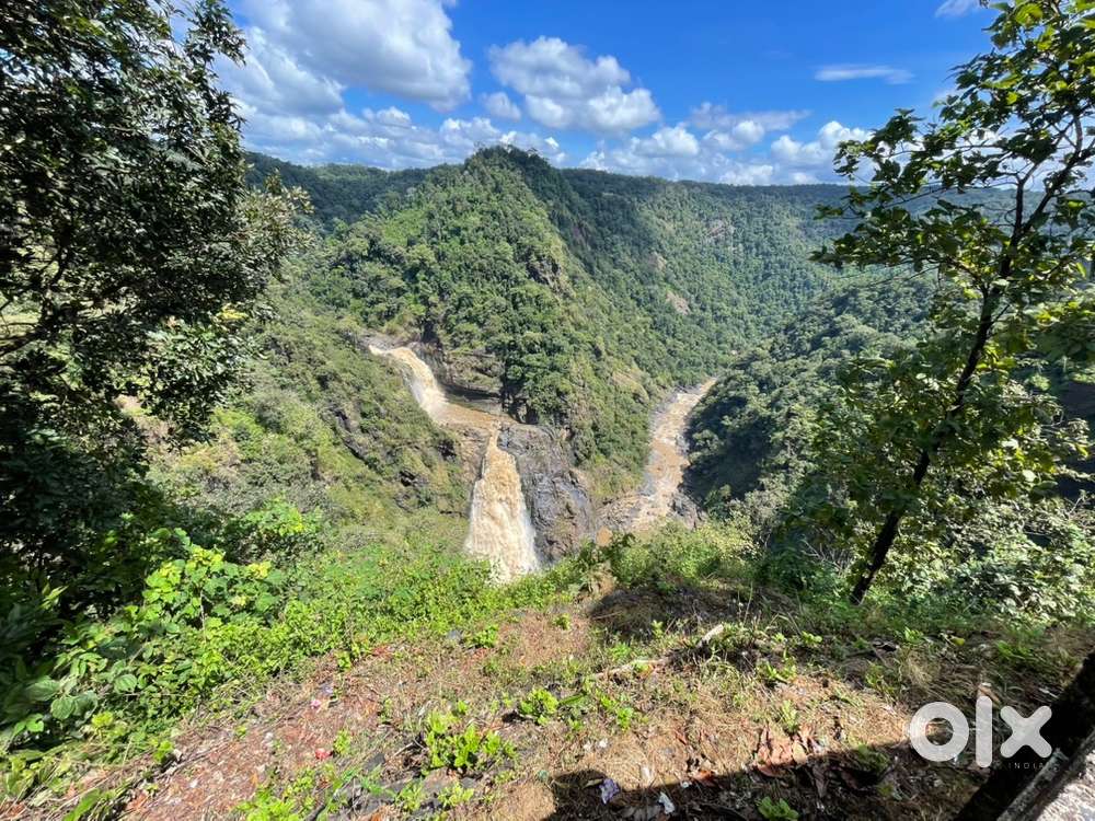 Pickup, Drop & Guided Tour Service