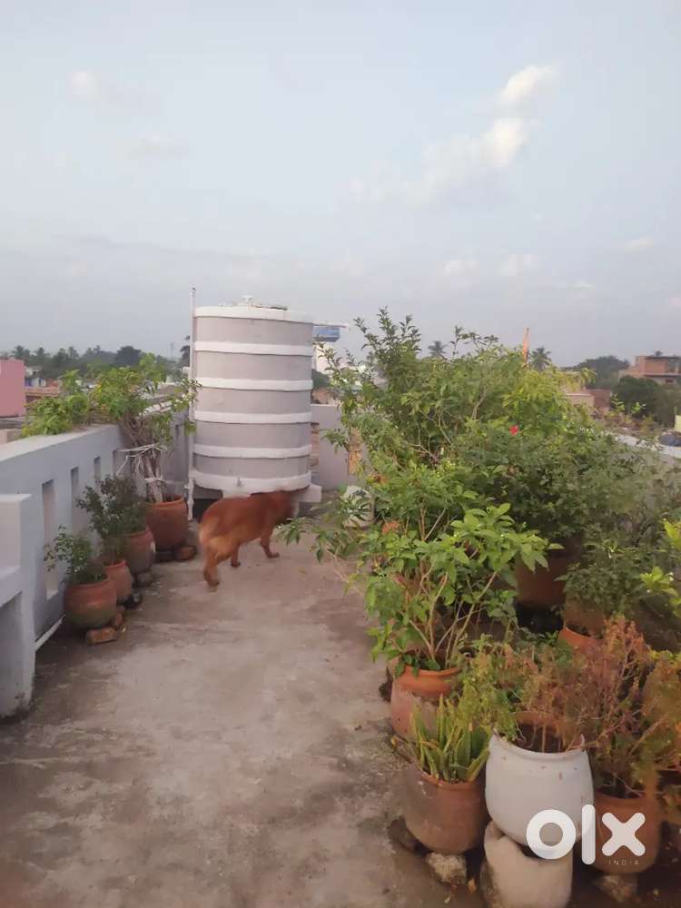 Single room with attach bath room