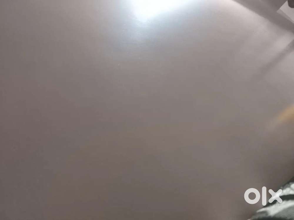 1Rk Available for rent 8100