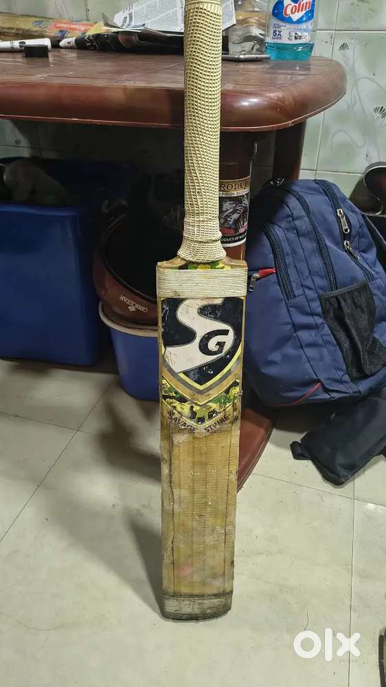 Sg english willow bat pleyer adition