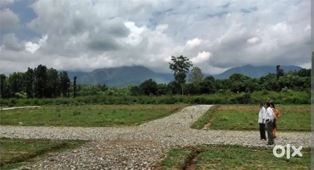 Pocket friendly plots