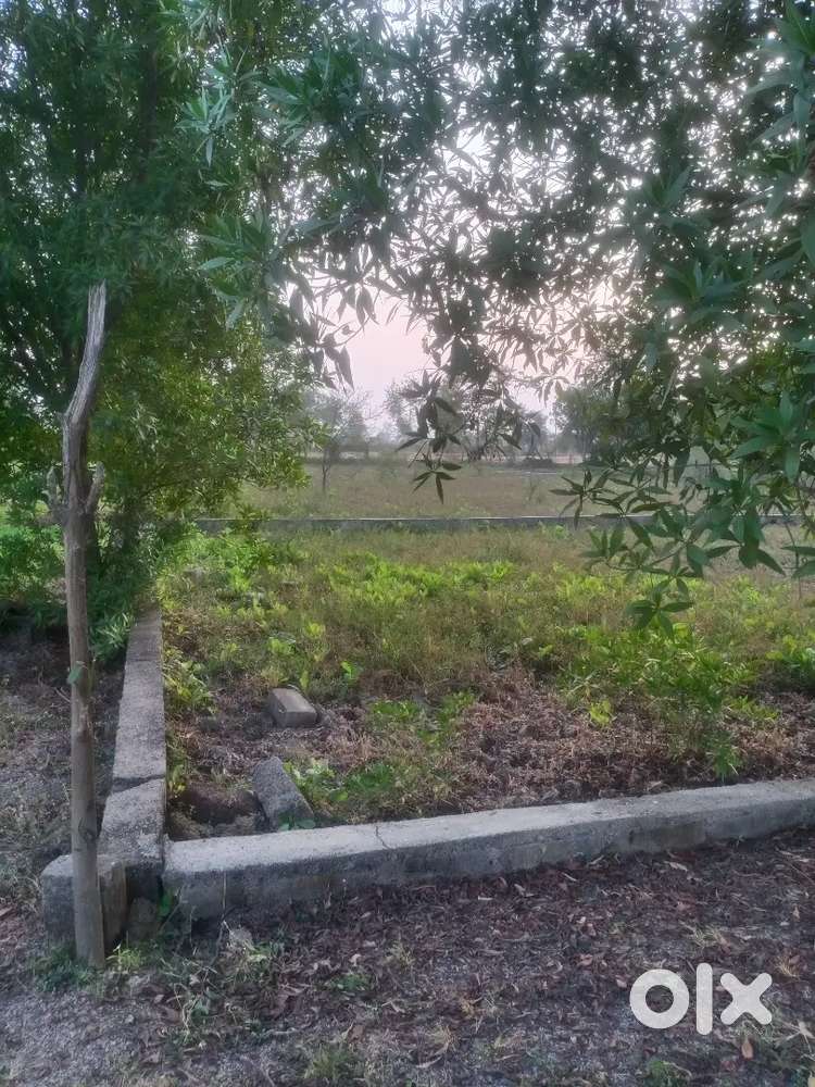 मात्र 5 लाख 99 हजार में डायवर्टेड प्लॉट उपलब्ध है नया रायपुर के पास