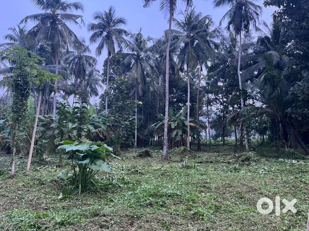 Housing plots at perinthalmanna bypass road