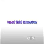 Need field executive