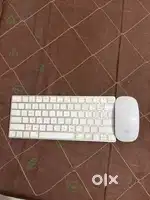 Apple magic mouse and magic keyboard