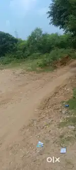 Mhewa naini