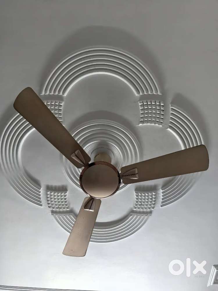 Usha Ceiling Fan