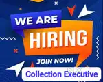 Collection Executive