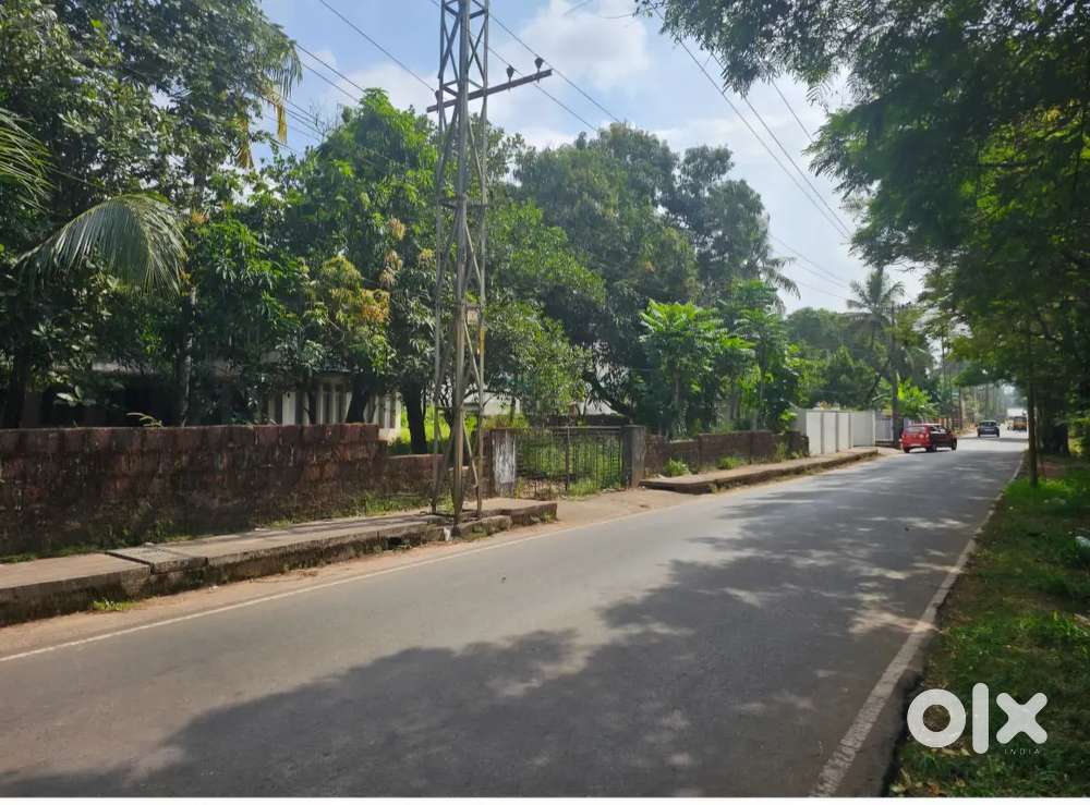 40 CENT MAIN ROAD FRONTAGE PLOT - ALAVIL TO PUTHIYAPARAMBA - 10 LAKH