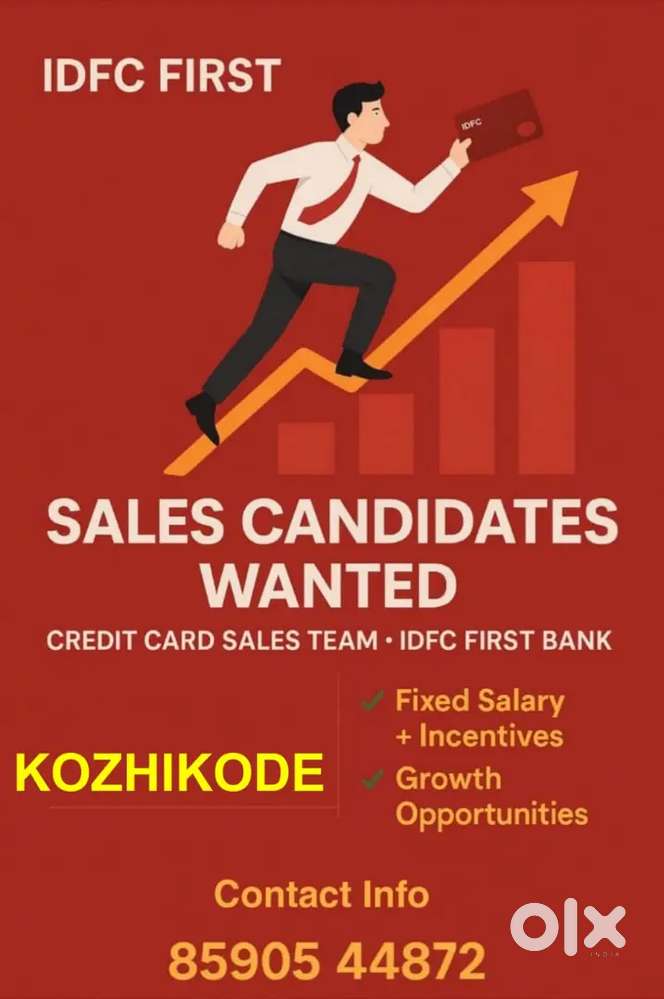Hiring credit card sales executive