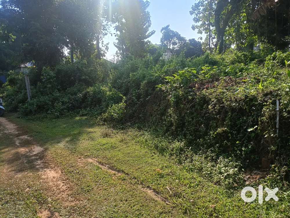 ত্রিপুরা ইউনিভার্সিটি পাশে জায়গা বিক্রী করতে চাই