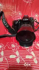 Canon 80D Camera
